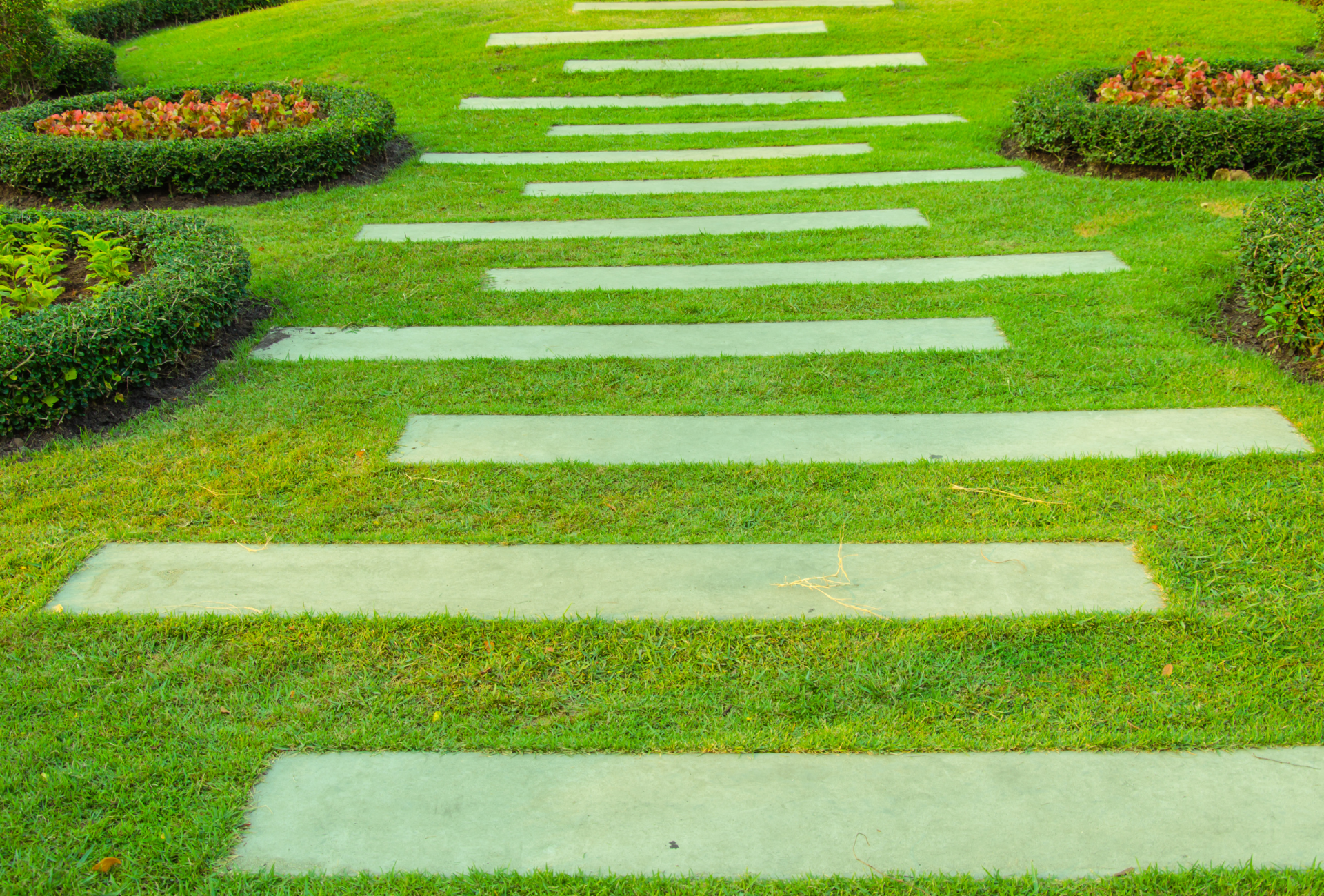 Getafe frente a las plagas tras la lluvia: cómo proteger jardines y zonas comunes